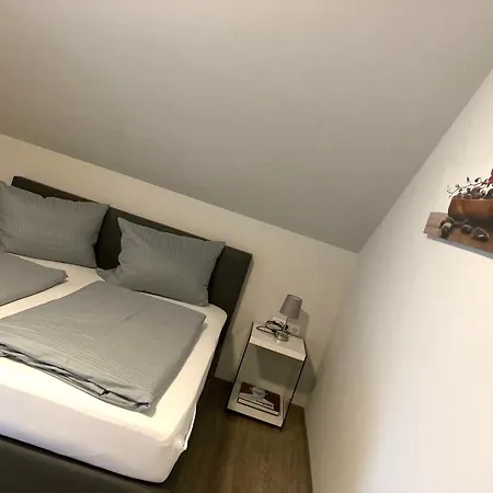 Singold Mit Highspeed Wlan Und Digitalem Schluessel ホテル *