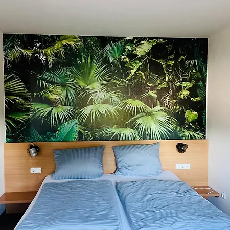 Singold Mit Highspeed Wlan Und Digitalem Schluessel Hotel *